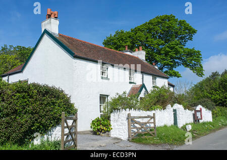 Weiß getünchten Häuschen in Penrice Dorf auf der Gower Halbinsel Wales Stockfoto