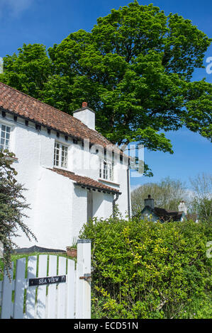 Weiß getünchten Häuschen in Penrice Dorf auf der Gower Halbinsel Wales Stockfoto