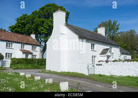 Weiß getünchten Häuschen in Penrice Dorf auf der Gower Halbinsel Wales Stockfoto