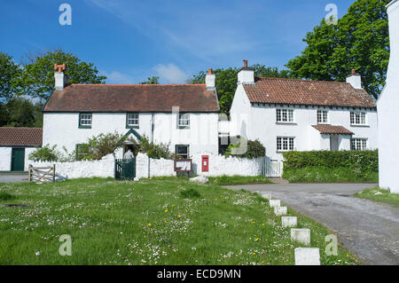 Weiß getünchten Häuschen in Penrice Dorf auf der Gower Halbinsel Wales Stockfoto