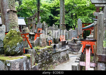 Shinto-Friedhof am Schrein von Fushimi Inari-taisha, Kyoto, Japan, mit magischen Kitsune (Füchse) und Opfergaben von roten Torii-Miniaturtoren Stockfoto