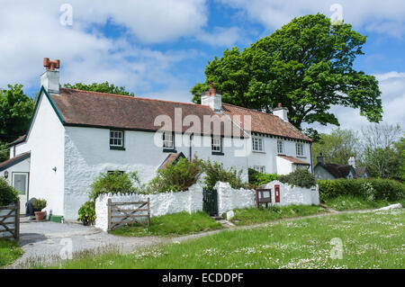 Weiß getünchten Häuschen in Penrice Dorf auf der Gower Halbinsel Wales Stockfoto