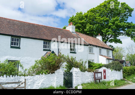 Weiß getünchten Häuschen in Penrice Dorf auf der Gower Halbinsel Wales Stockfoto