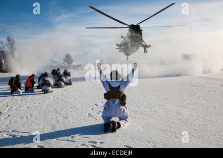 Ein NATO-Hubschrauber weht Schnee bei der Landung um Soldaten der norwegischen Armee 6. März 2013 während der live-Feuer-Übungen nördlich des Polarkreises in Norwegen prächtiges abzurufen. Stockfoto