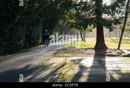 Winter-Licht, Wilton Lodge Park, Hawick, Scottish Borders Stockfoto