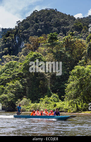 Touristen reisen mit dem Boot am Fluss zu Höhlen, Mulu, Malaysia Stockfoto