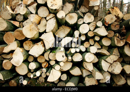 Ein Haufen Holz gehackt für Heizung. Stockfoto