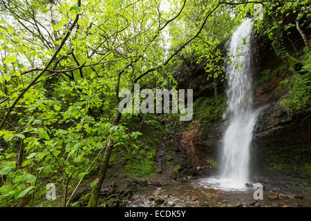 Wasserfall, Clydach Schlucht, Wales, UK Stockfoto