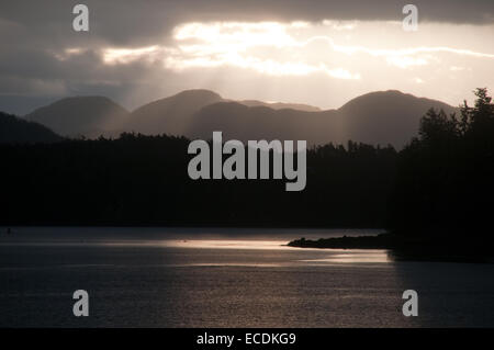 Bergwälder in der Silhouette bei Sonnenaufgang über Denny Insel im Great Bear Rainforest von British Columbia, Kanada. Stockfoto