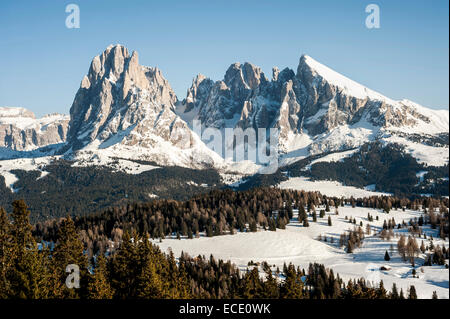 Blick auf Langkofel und Plattkofels Berge, Santa Cristina Valgardena, Alto Adige, Italien Stockfoto