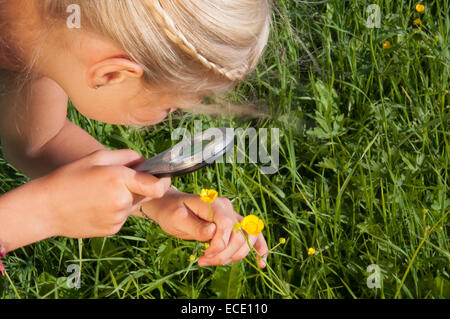 Mädchen (10-11) beobachten Blumen durch Lupe, erhöhte Ansicht, Nahaufnahme Stockfoto