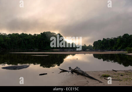 Heitere Ruhe bei Sonnenuntergang: Fluss Suriname im oberen Suriname, ein Wildbach, umgeben von Regenwald. Stockfoto