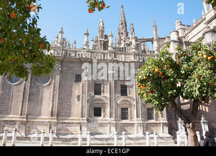 Blick auf Sevilla Kathedrale, Sevilla, Andalusien, Spanien Stockfoto