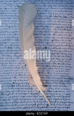 Nahaufnahme von Kiel auf Dokument Stockfoto
