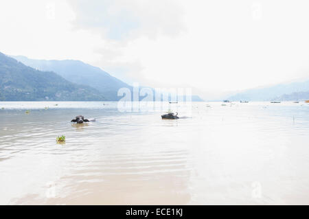 See Berge schwimmen Wasserbüffel Stockfoto