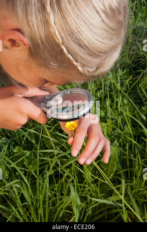 Mädchen (10-11) Prüfung Blumen durch Lupe, erhöhte Ansicht, Nahaufnahme Stockfoto
