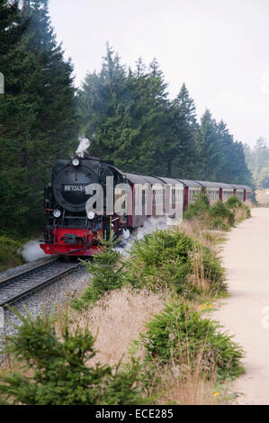 Dampfzug auf der Durchreise Nationalpark Harz, Deutschland Stockfoto