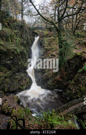 Aira Beck stürzt über Aira Kraft als ein schöner Wasserfall zwischen den zwei Steinbrücken, wie es seinen Weg zum Lake Ullswater macht Stockfoto