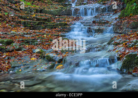 Wasserfall im Wald im Herbst, Monte Cucco Regional Park, Umbrien, Italien Stockfoto