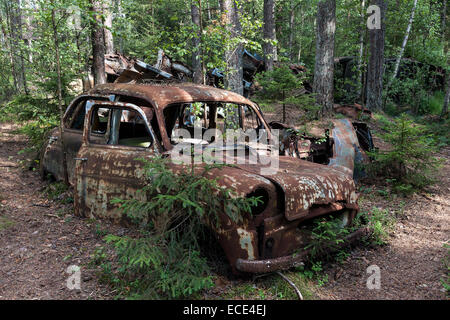 Auto-Friedhof im Wald, Junk-e-Autos, Kyrkö Mosse, in der Nähe von Ryd, Småland, Schweden Stockfoto