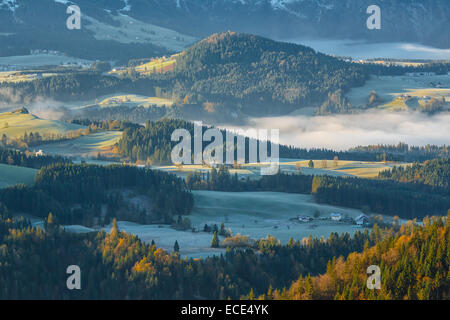 Morgennebel im Tal in den österreichischen Alpen beleuchtet mit der Morgensonne Stockfoto