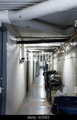 In einem Pavillion Wohnung von Mies van der Rohe Stadthäuser in Detroit, Michigan, USA. 22. Oktober 2014. Stockfoto