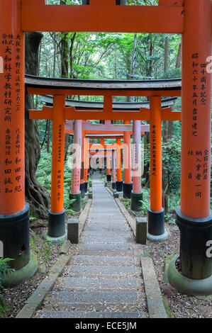 Tausend rote Torii-Tore säumen den Berghang bei Fushimi Inari-taisha, Kyoto, Japan. Es ist der Hauptschrein von Inari, gott von Reis und Füchsen Stockfoto