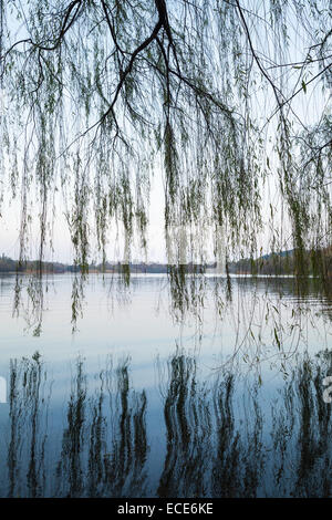 Trauerweide Silhouetten an der Küste. Wandern rund um berühmte West Lake Park in der Innenstadt von Hangzhou, China Stockfoto