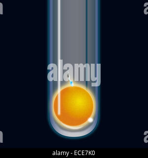 Teströhrchen-vitro-Fertilisation (IVF) – Spermien und Ei in künstlicher Umgebung. Eine symbolische Darstellung der assistierten Reproduktion, Fertilitätsbehandlung Stockfoto