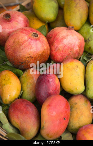 Mauritius, Mahebourg, Stadtzentrum, frische, regionale Produkte, Mangos und Granatäpfel auf Stand zum Verkauf Stockfoto