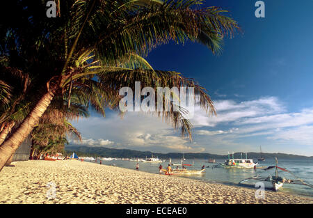 Palmen Baum. White Sand Beach. Weißen Strand. Boracay. Philippinen. Boracay ist eine kleine Insel in den Philippinen approximat Stockfoto