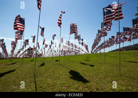 Viele amerikanische Flaggen bei windigem Wetter Stockfoto