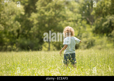 Greenville County, Greenville, USA, South Carolina, Boy grass (2-3) in grün Stockfoto
