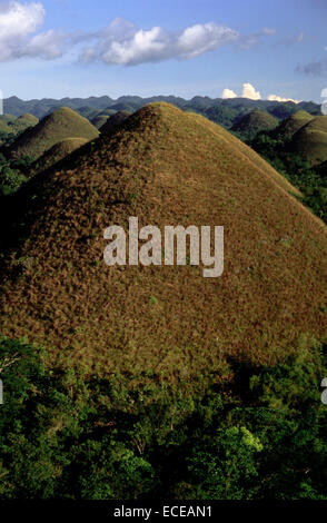 Mountains Chocolate Hills. Bohol. Die Visayas. Philippinen. Die Chocolate Hills sind eine geologische Formation in Bohol Provinz, Ph Stockfoto