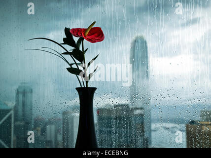 China, Hong Kong, Aussicht vom Hotelzimmer Stockfoto