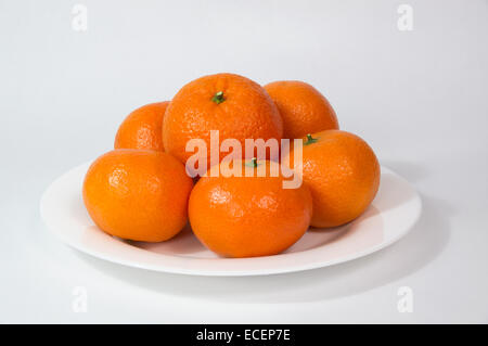 Große goldene Mandarinen auf weißen Teller Stockfoto