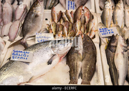 Verschiedene Fische auf Eis-Theke am Fischmarkt Stockfoto