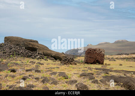 Chile, Osterinsel. Te Pito Kura, Nationalpark Rapa Nui. Die größte Moai (über 70 Tonnen, dem Gesicht nach unten) Skulptur. Stockfoto