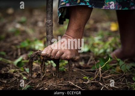 Barfuß in einem Garten mit Pitchgabel Stockfoto