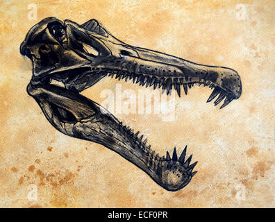 Spinosaurus Dinosaurier Schädel auf strukturierten Hintergrund. Stockfoto