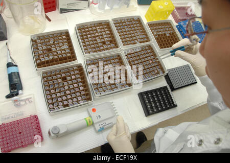 Generische Fläschchen mit Chemikalien im Forschungslabor. Stockfoto