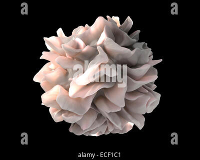 Künstlerische Darstellung der Oberfläche einer menschlichen dendritischen Zelle illustrieren die unerwartete Entdeckung folienartigen verarbeitet, dass f Stockfoto