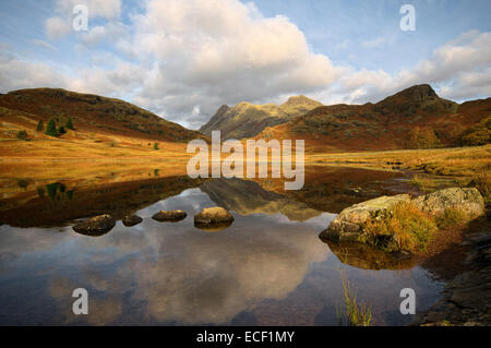 Blea Tarn in den Lake District National Park, Cumbria Stockfoto