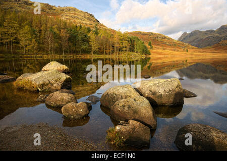 Blea Tarn in den Lake District National Park, Cumbria Stockfoto