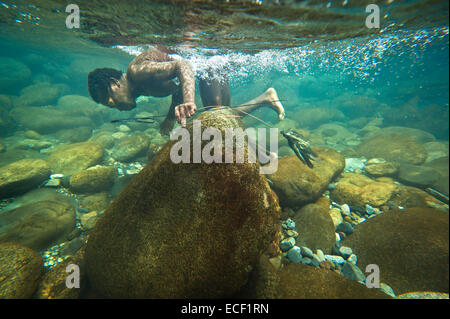 Agta Mann auf der Suche nach Fisch im klaren tropischen Wasser des Flusses Blos Stockfoto