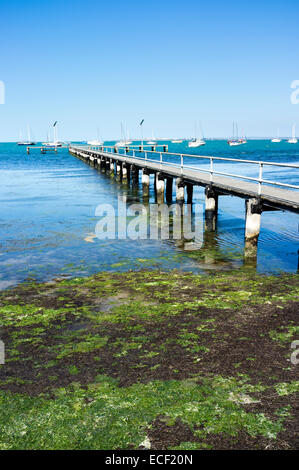 Alte hölzerne Pier Geelong, Australien. Sonnigen Sommernachmittag. Blauer Himmel und Wasser. Stockfoto