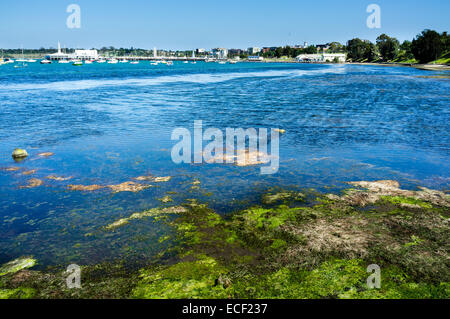 Aussicht auf Bucht von Geelong mit Algen im Vordergrund. Lebendiges Wasser. Entfernte Boote. Stockfoto