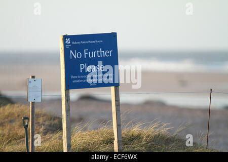 Dichtungen. . Blakeney, Norfolk, Großbritannien. . 10.12.2014, die eine Rekordzahl von Jungrobben in dieser Saison am Blakeney Strand an der Küste von Norfolk geboren werden. Im Besitz des National Trust Strand gesehen hat, ein der letzten Jahre auf Jahr Anzahl der Dichtungen zu erhöhen, da die Kolonie in Zahlen wächst. Die Norfolk Wildlife Trust Wächter zählen regelmäßig die Neuankömmlinge, die 2.100 bisher in dieser Saison übertroffen haben. Von flauschige Welpen zu knorrigen Bulls gibt es neugeborenen Welpen, die bis zum Alter von einigen der Bullen im Alter von rund 25 Jahren leben können. ** Dieses Bild darf nur für redaktionelle Zwecke verwendet werden, sofern nicht anders vereinbart ** Pic: Paul Marriot Stockfoto