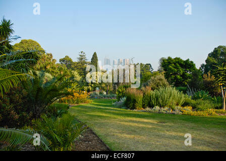 Der Royal Botanic Gardens Melbourne, international renommierte botanische Garten befindet sich nahe dem Stadtzentrum von Melbourne, Victoria, Aus Stockfoto