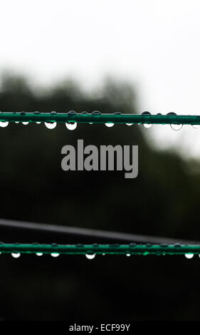 Regentropfen / Tau auf einer Wäscheleine im Winter mit Bäumen im Hintergrund jedoch unscharf. Stockfoto